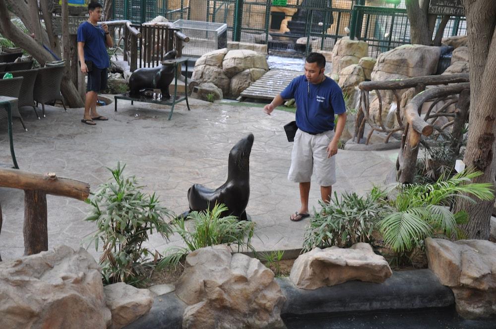 Resort Emirates Park