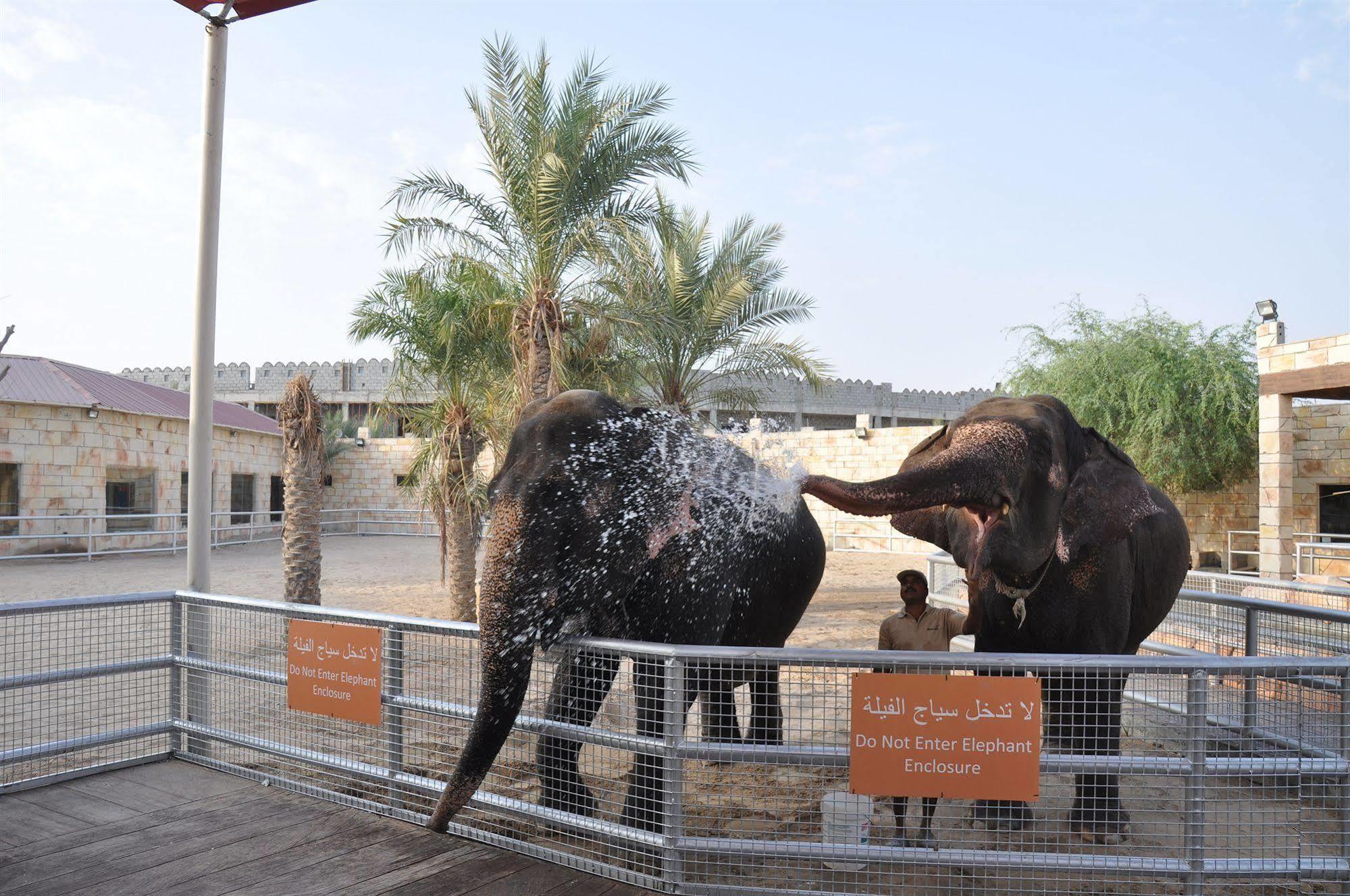 Emirates Park Resort Abu Dhabi